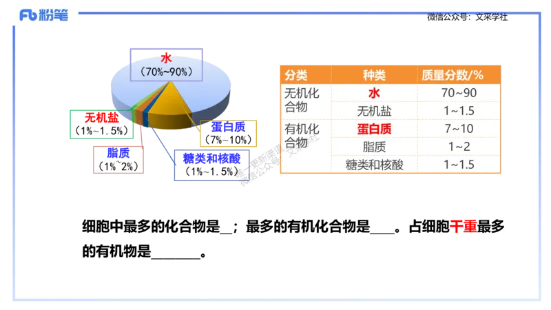 理论精讲01-分子生物学1-拾光_4-教培资料-26年最新资料-同步更新_初中高中教资_03科三专项（进去保存报考的学科即可）_01科目三FB网课、三色速记手册、知识点导图等推荐_初中