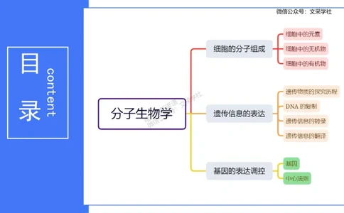 理论精讲01-分子生物学1-拾光_4-教培资料-26年最新资料-同步更新_初中高中教资_03科三专项（进去保存报考的学科即可）_01科目三FB网课、三色速记手册、知识点导图等推荐_初中