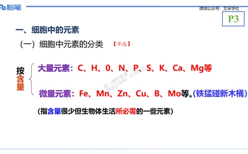 理论精讲01-分子生物学1-拾光_4-教培资料-26年最新资料-同步更新_初中高中教资_03科三专项（进去保存报考的学科即可）_01科目三FB网课、三色速记手册、知识点导图等推荐_初中