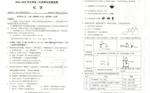 湖北省武昌区2024~2025学年度高二年级期末质量检测化学_2025年6月_250628湖北省武昌区2024~2025学年度高二年级期末质量检测（全科）