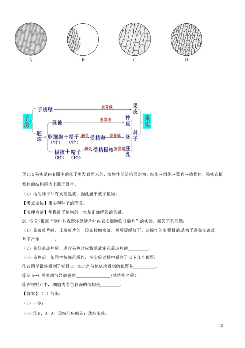 福建省2017年中考生物真题试题（含解析）_中考真题_8.生物中考真题2015-2024年_2017年全国中考生物124份