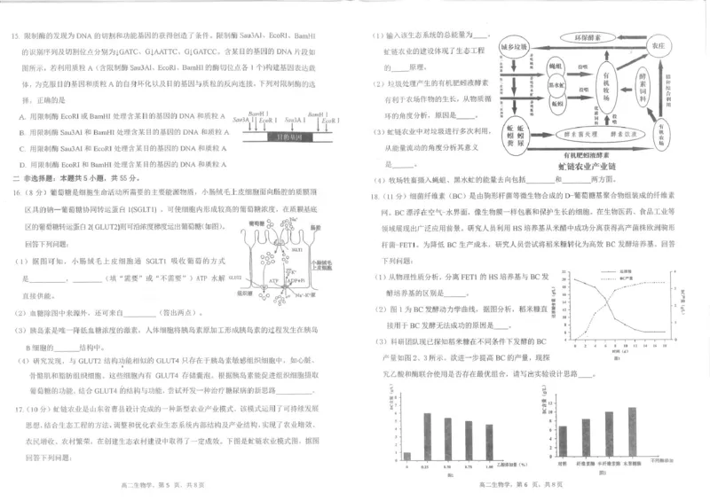 四川省雅安市2024-2025学年高二下学期期末考试生物试题_2025年7月_250711四川省雅安市2024-2025学年高二下学期期末考试_四川省雅安市2024-2025学年高二下学期期末考试生物试题