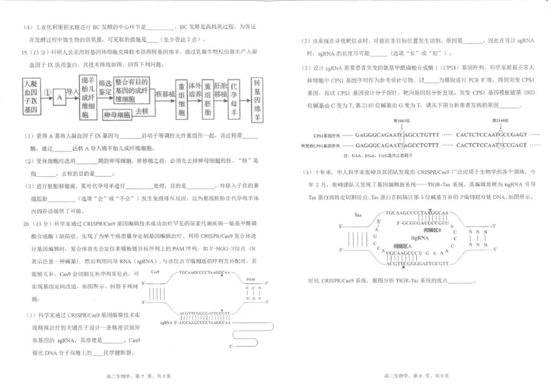 四川省雅安市2024-2025学年高二下学期期末考试生物试题_2025年7月_250711四川省雅安市2024-2025学年高二下学期期末考试_四川省雅安市2024-2025学年高二下学期期末考试生物试题
