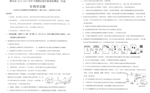 四川省雅安市2024-2025学年高二下学期期末考试生物试题_2025年7月_250711四川省雅安市2024-2025学年高二下学期期末考试_四川省雅安市2024-2025学年高二下学期期末考试生物试题