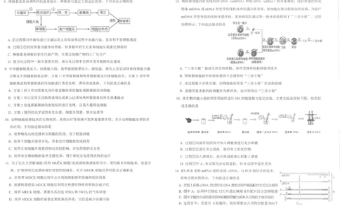 四川省雅安市2024-2025学年高二下学期期末考试生物试题_2025年7月_250711四川省雅安市2024-2025学年高二下学期期末考试_四川省雅安市2024-2025学年高二下学期期末考试生物试题