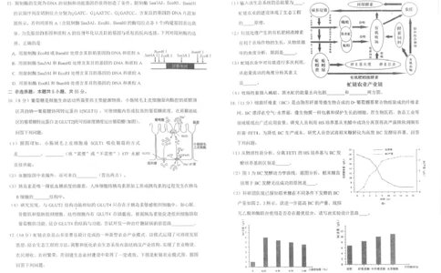 四川省雅安市2024-2025学年高二下学期期末考试生物试题_2025年7月_250711四川省雅安市2024-2025学年高二下学期期末考试_四川省雅安市2024-2025学年高二下学期期末考试生物试题