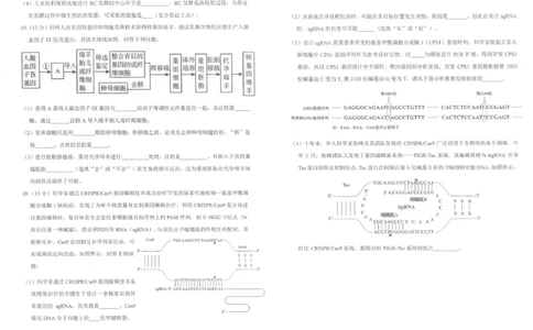四川省雅安市2024-2025学年高二下学期期末考试生物试题_2025年7月_250711四川省雅安市2024-2025学年高二下学期期末考试_四川省雅安市2024-2025学年高二下学期期末考试生物试题