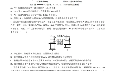 四川省成都市石室中学2024-2025学年高二下学期2026届零诊模拟考试生物试题（含答案）_2025年6月_250627四川省成都石室中学2024-2025学年高三下学期零诊模拟考试