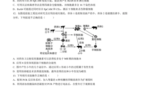 四川省成都市石室中学2024-2025学年高二下学期2026届零诊模拟考试生物试题（含答案）_2025年6月_250627四川省成都石室中学2024-2025学年高三下学期零诊模拟考试