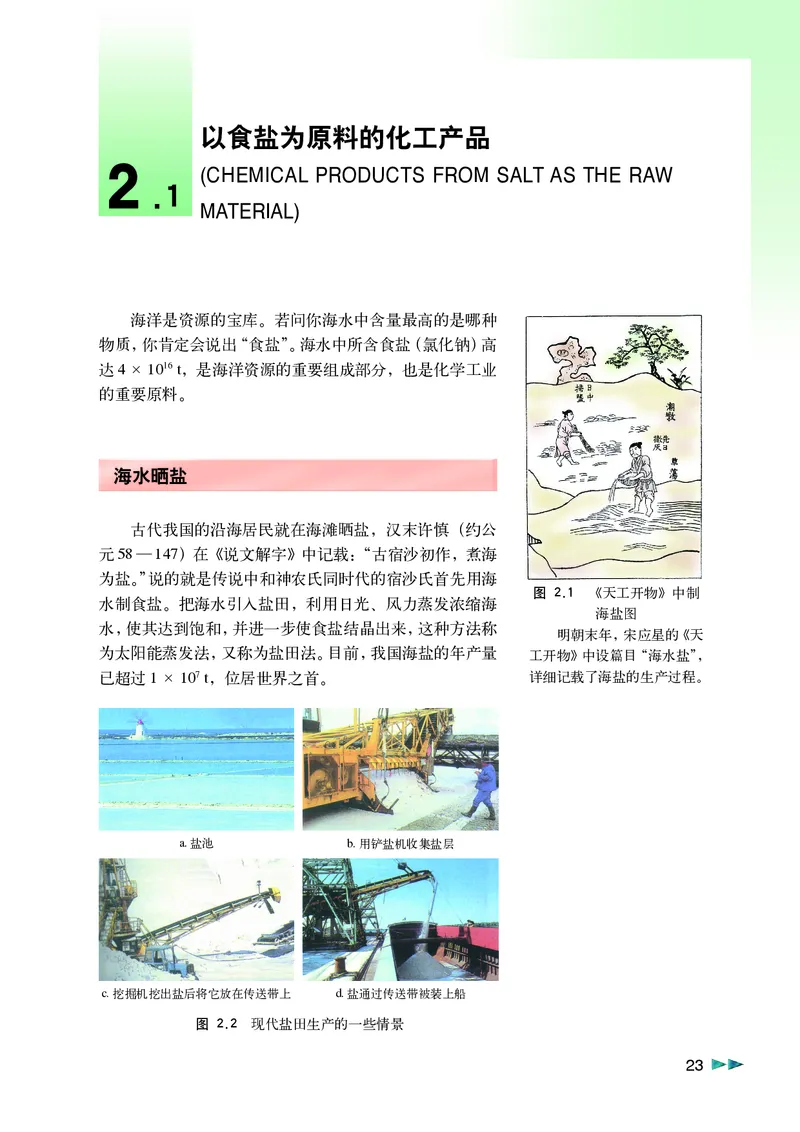 沪科版化学高一第一学期_4-教培资料-26年最新资料-同步更新_初中高中教资_03科三专项（进去保存报考的学科即可）_02科三专项（笔记真题思维导图教学设计版本二）