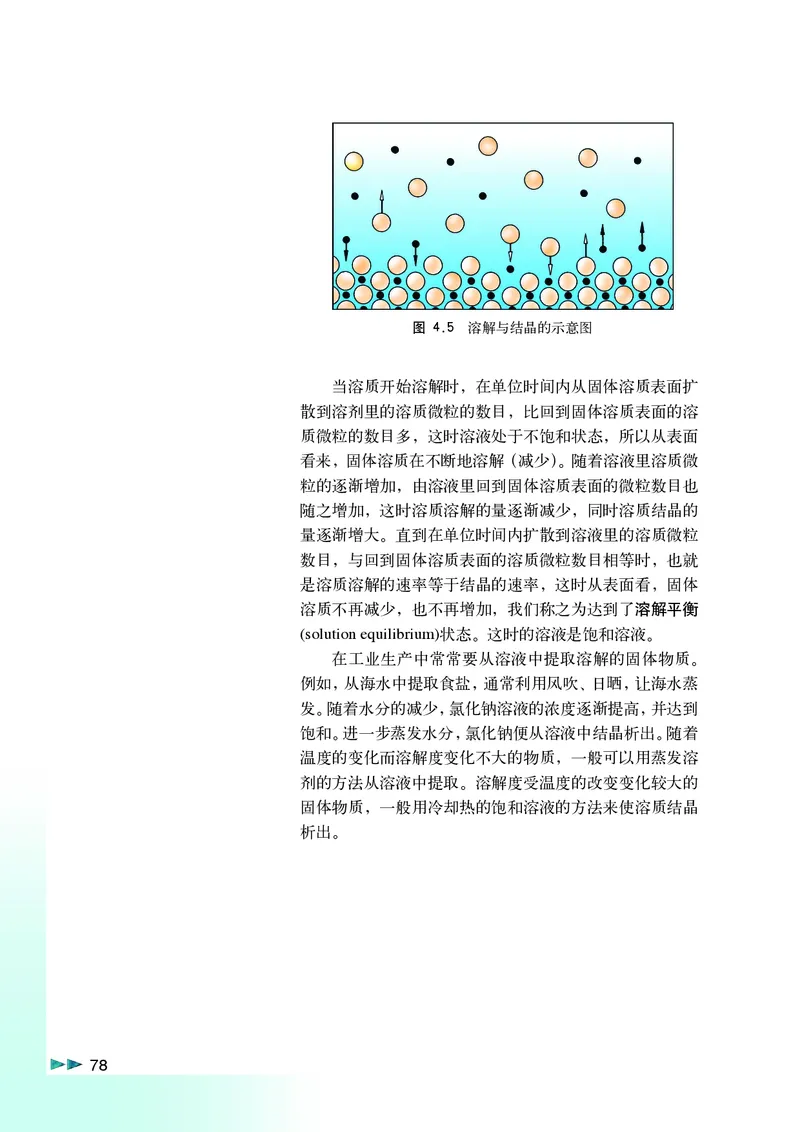 沪科版化学高一第一学期_4-教培资料-26年最新资料-同步更新_初中高中教资_03科三专项（进去保存报考的学科即可）_02科三专项（笔记真题思维导图教学设计版本二）