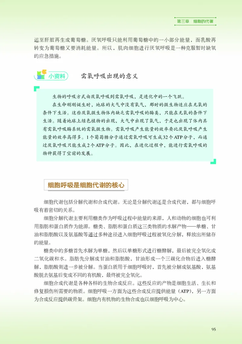 浙科版生物必修1高清教材_4-教培资料-26年最新资料-同步更新_初中高中教资_03科三专项（进去保存报考的学科即可）_02科三专项（笔记真题思维导图教学设计版本二）
