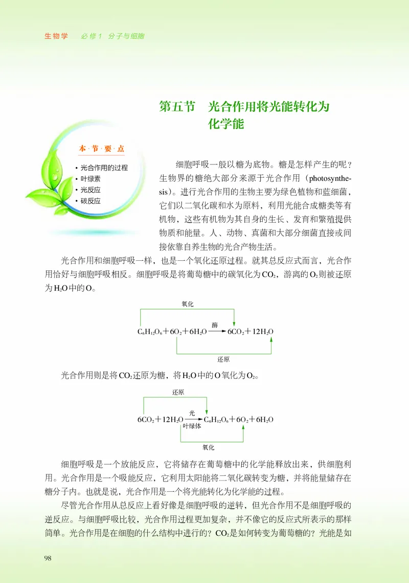 浙科版生物必修1高清教材_4-教培资料-26年最新资料-同步更新_初中高中教资_03科三专项（进去保存报考的学科即可）_02科三专项（笔记真题思维导图教学设计版本二）