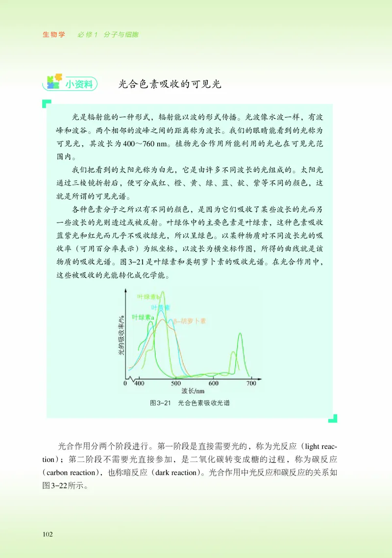 浙科版生物必修1高清教材_4-教培资料-26年最新资料-同步更新_初中高中教资_03科三专项（进去保存报考的学科即可）_02科三专项（笔记真题思维导图教学设计版本二）
