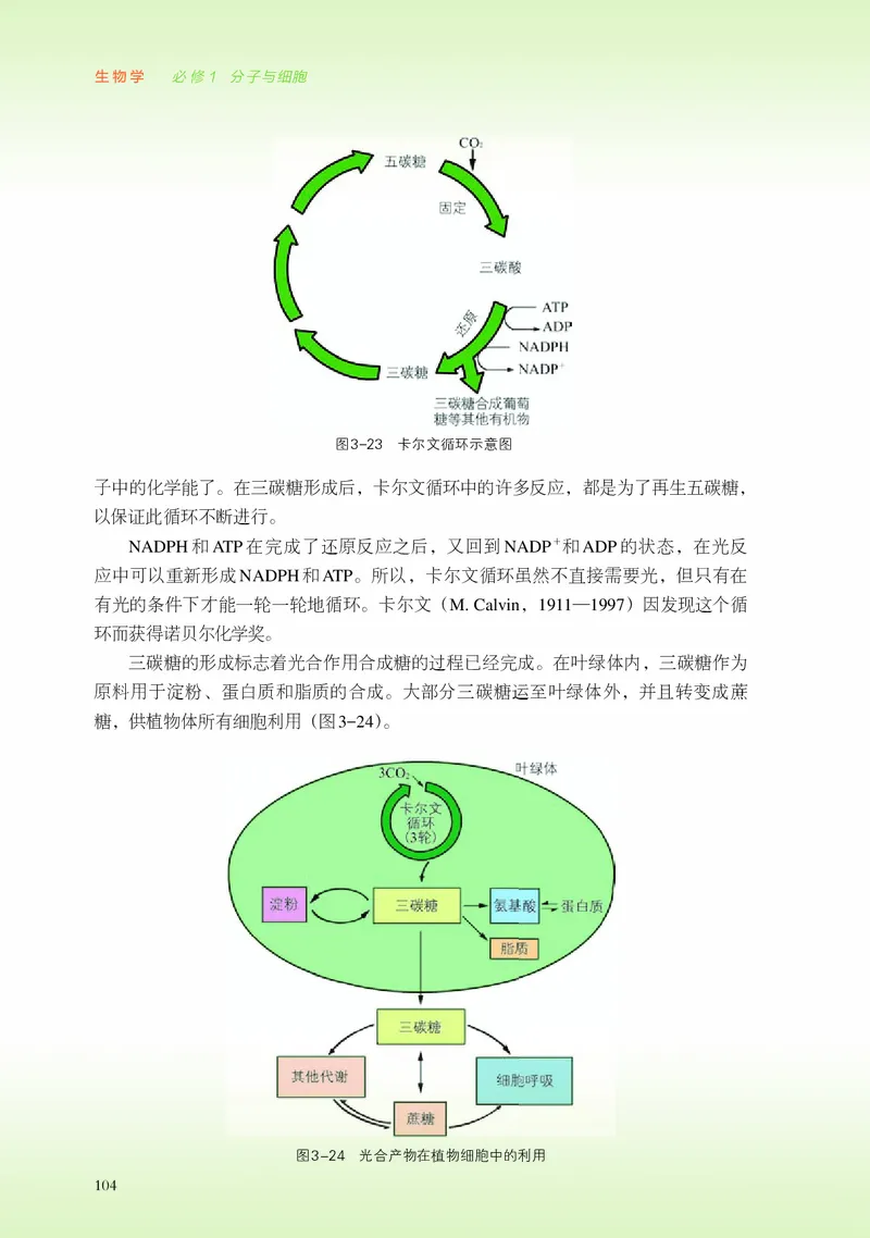 浙科版生物必修1高清教材_4-教培资料-26年最新资料-同步更新_初中高中教资_03科三专项（进去保存报考的学科即可）_02科三专项（笔记真题思维导图教学设计版本二）
