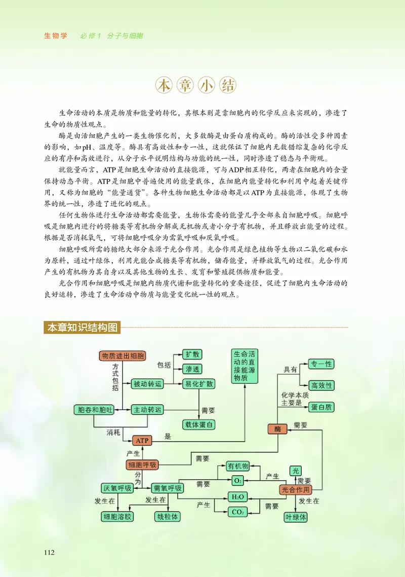 浙科版生物必修1高清教材_4-教培资料-26年最新资料-同步更新_初中高中教资_03科三专项（进去保存报考的学科即可）_02科三专项（笔记真题思维导图教学设计版本二）