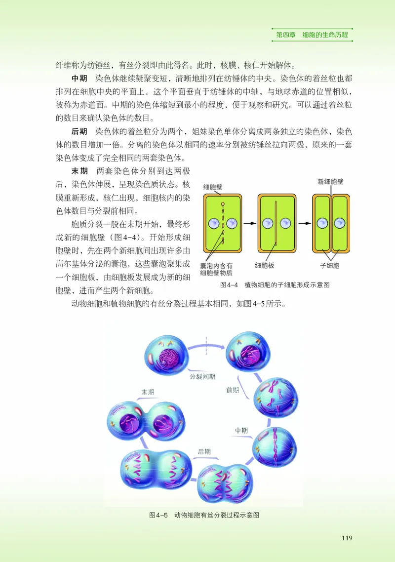 浙科版生物必修1高清教材_4-教培资料-26年最新资料-同步更新_初中高中教资_03科三专项（进去保存报考的学科即可）_02科三专项（笔记真题思维导图教学设计版本二）