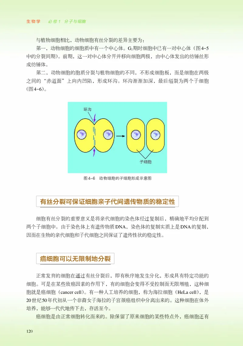 浙科版生物必修1高清教材_4-教培资料-26年最新资料-同步更新_初中高中教资_03科三专项（进去保存报考的学科即可）_02科三专项（笔记真题思维导图教学设计版本二）