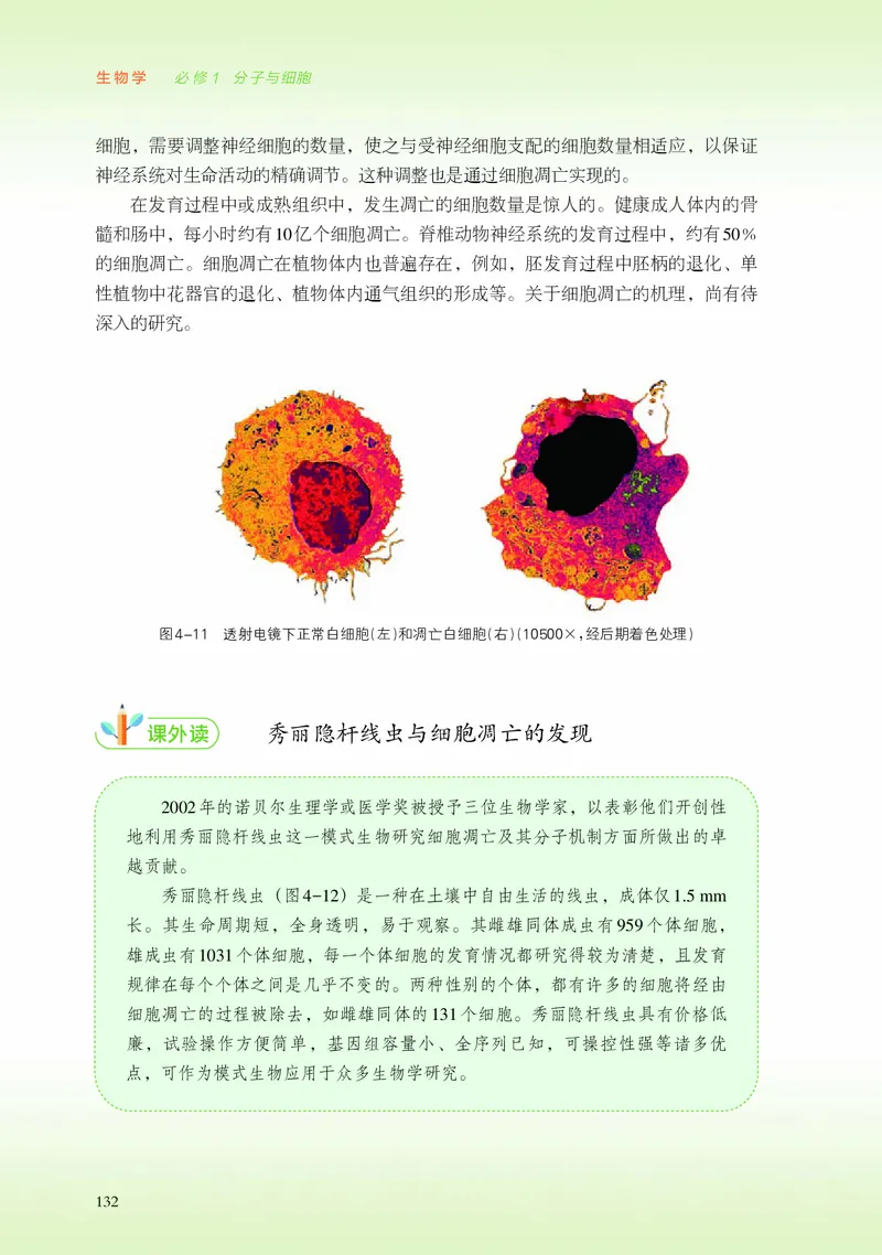 浙科版生物必修1高清教材_4-教培资料-26年最新资料-同步更新_初中高中教资_03科三专项（进去保存报考的学科即可）_02科三专项（笔记真题思维导图教学设计版本二）