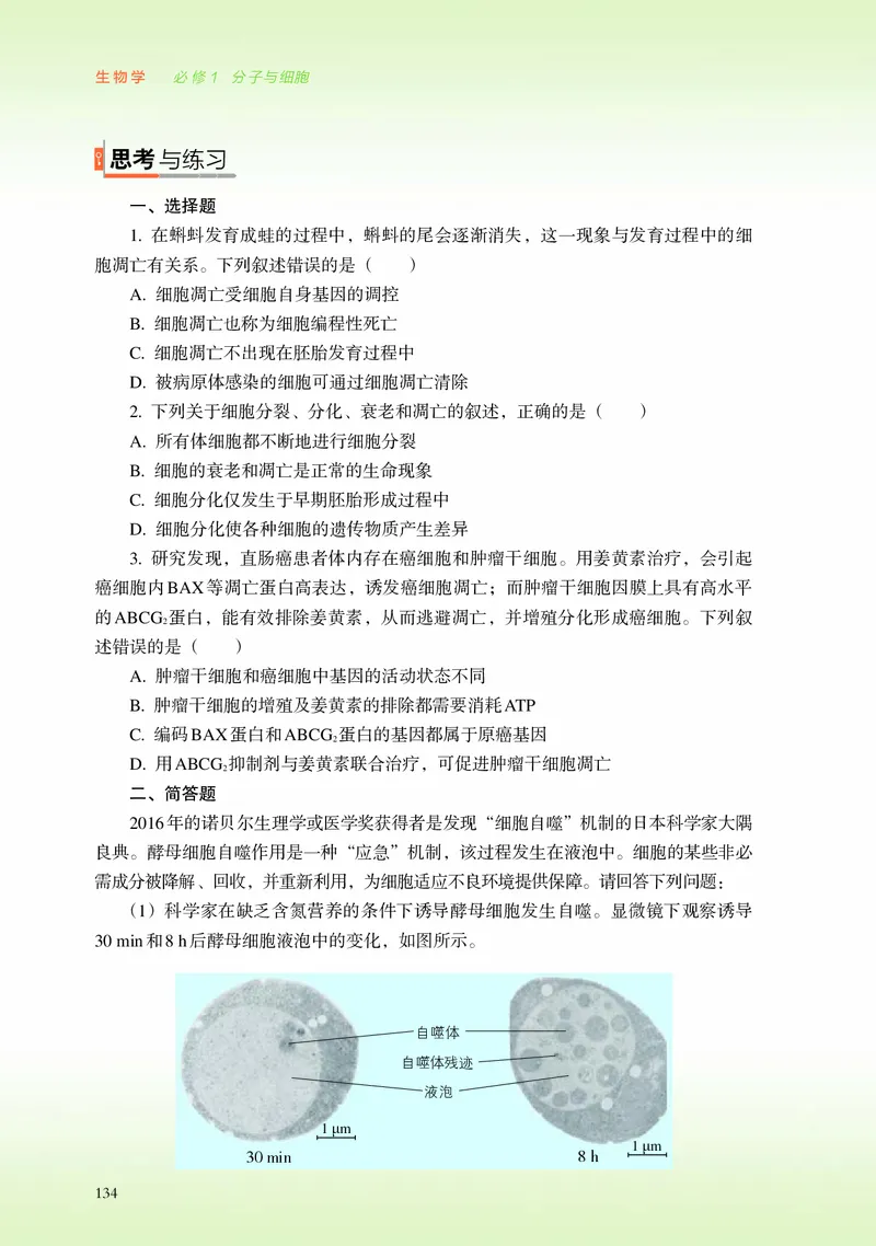 浙科版生物必修1高清教材_4-教培资料-26年最新资料-同步更新_初中高中教资_03科三专项（进去保存报考的学科即可）_02科三专项（笔记真题思维导图教学设计版本二）
