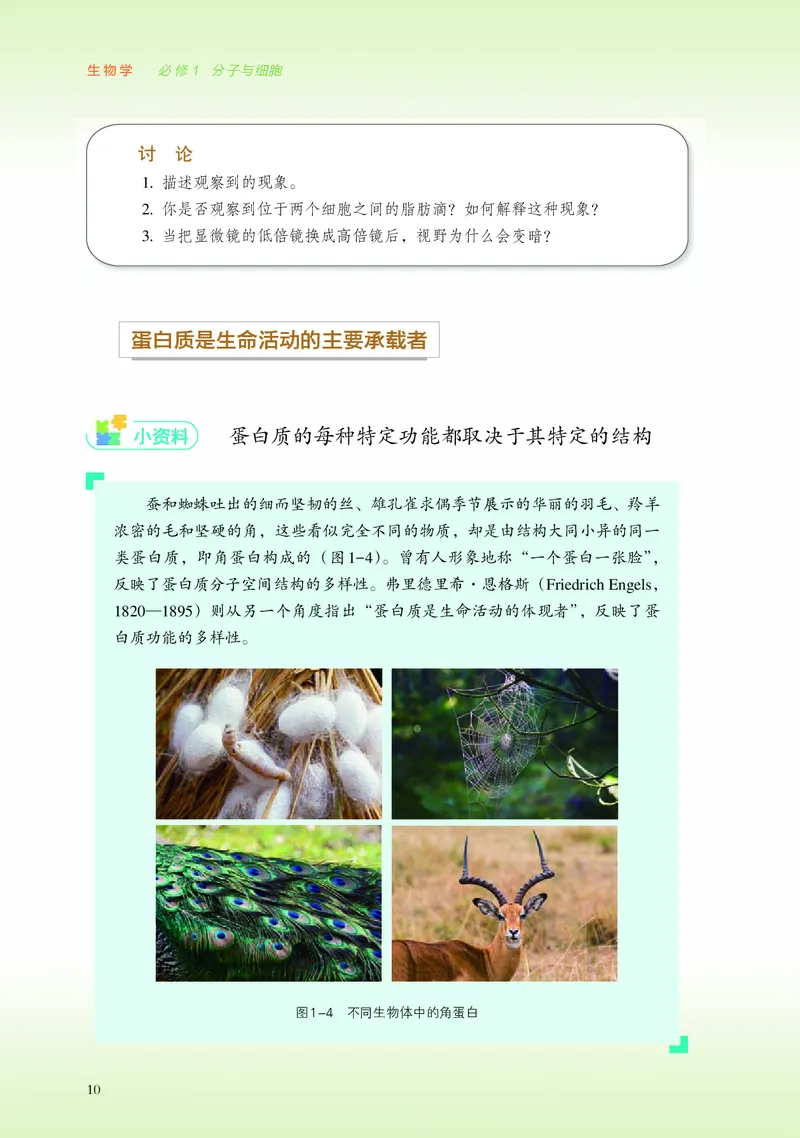 浙科版生物必修1高清教材_4-教培资料-26年最新资料-同步更新_初中高中教资_03科三专项（进去保存报考的学科即可）_02科三专项（笔记真题思维导图教学设计版本二）