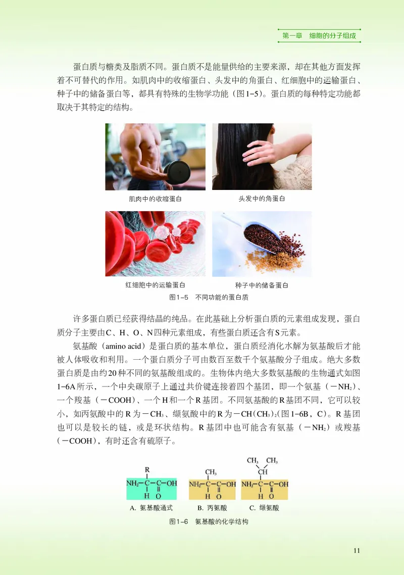 浙科版生物必修1高清教材_4-教培资料-26年最新资料-同步更新_初中高中教资_03科三专项（进去保存报考的学科即可）_02科三专项（笔记真题思维导图教学设计版本二）