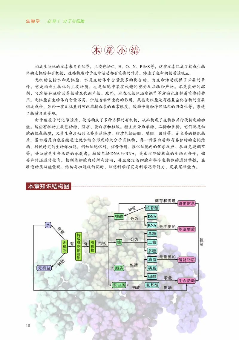 浙科版生物必修1高清教材_4-教培资料-26年最新资料-同步更新_初中高中教资_03科三专项（进去保存报考的学科即可）_02科三专项（笔记真题思维导图教学设计版本二）