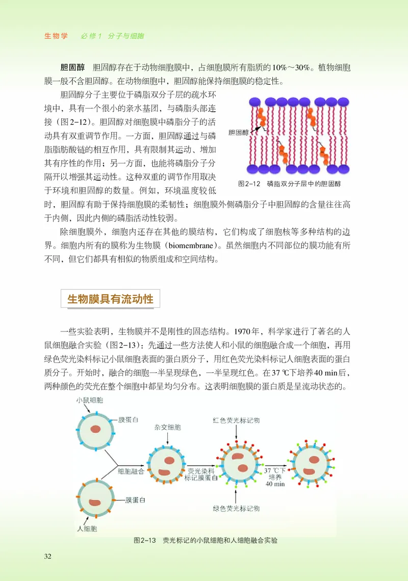 浙科版生物必修1高清教材_4-教培资料-26年最新资料-同步更新_初中高中教资_03科三专项（进去保存报考的学科即可）_02科三专项（笔记真题思维导图教学设计版本二）