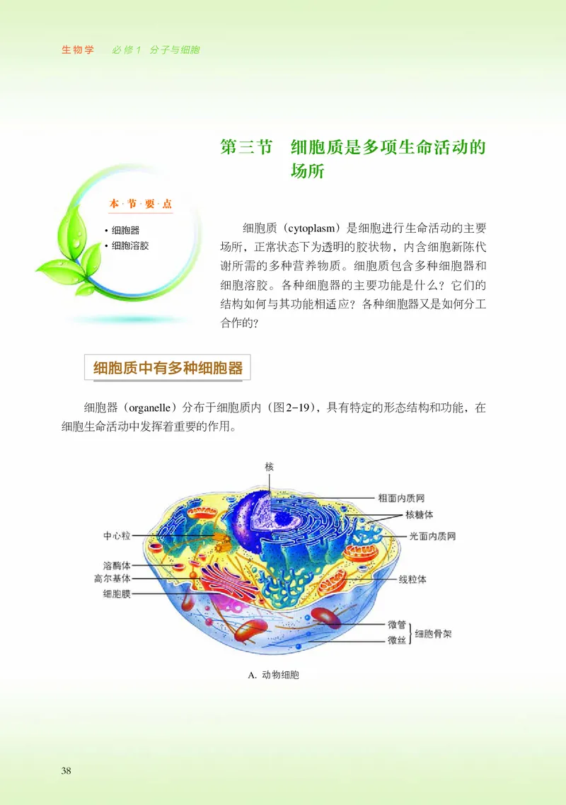 浙科版生物必修1高清教材_4-教培资料-26年最新资料-同步更新_初中高中教资_03科三专项（进去保存报考的学科即可）_02科三专项（笔记真题思维导图教学设计版本二）