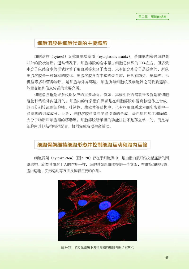 浙科版生物必修1高清教材_4-教培资料-26年最新资料-同步更新_初中高中教资_03科三专项（进去保存报考的学科即可）_02科三专项（笔记真题思维导图教学设计版本二）
