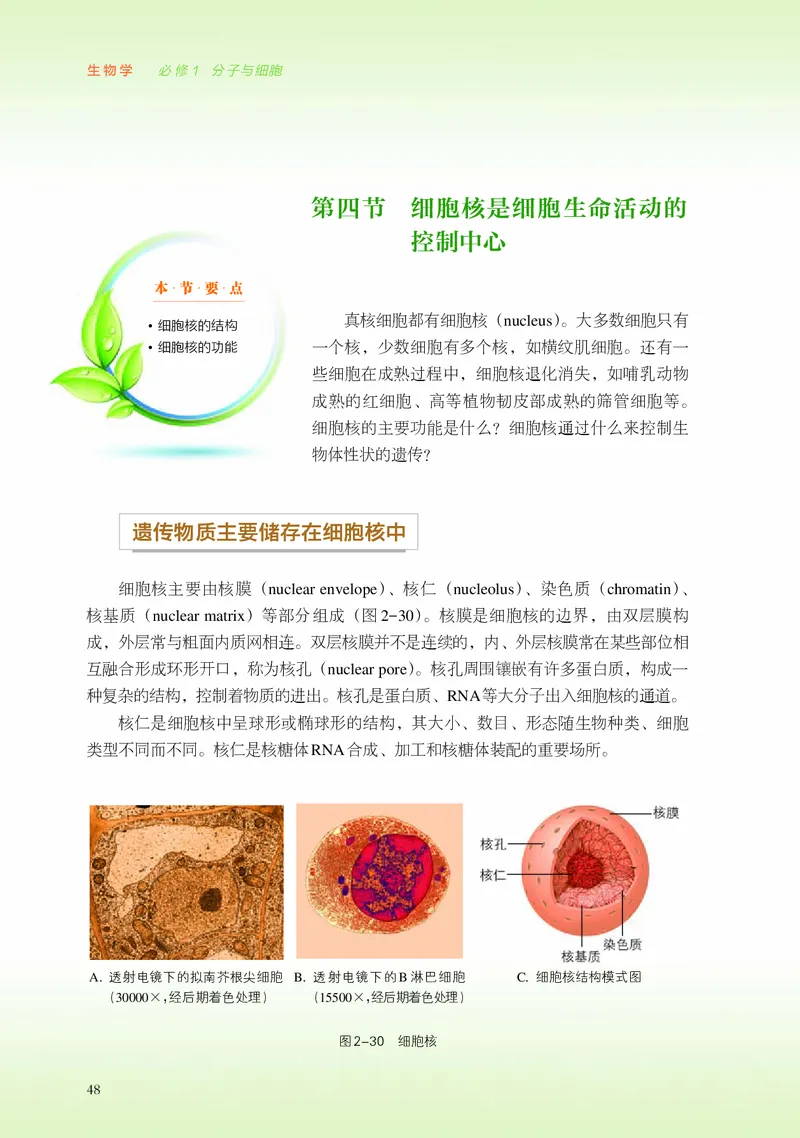 浙科版生物必修1高清教材_4-教培资料-26年最新资料-同步更新_初中高中教资_03科三专项（进去保存报考的学科即可）_02科三专项（笔记真题思维导图教学设计版本二）