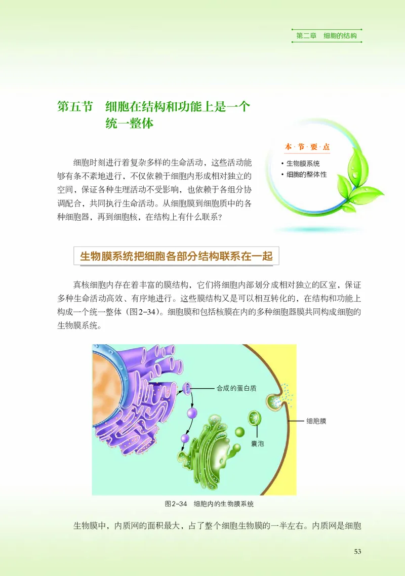 浙科版生物必修1高清教材_4-教培资料-26年最新资料-同步更新_初中高中教资_03科三专项（进去保存报考的学科即可）_02科三专项（笔记真题思维导图教学设计版本二）