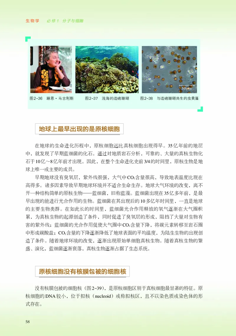 浙科版生物必修1高清教材_4-教培资料-26年最新资料-同步更新_初中高中教资_03科三专项（进去保存报考的学科即可）_02科三专项（笔记真题思维导图教学设计版本二）