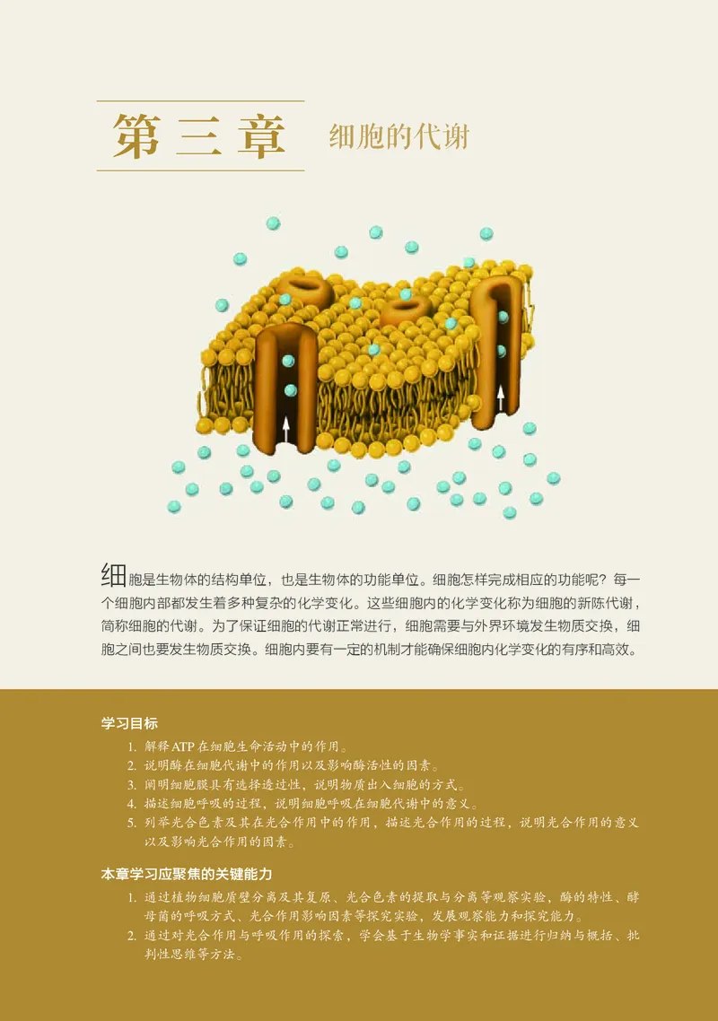 浙科版生物必修1高清教材_4-教培资料-26年最新资料-同步更新_初中高中教资_03科三专项（进去保存报考的学科即可）_02科三专项（笔记真题思维导图教学设计版本二）