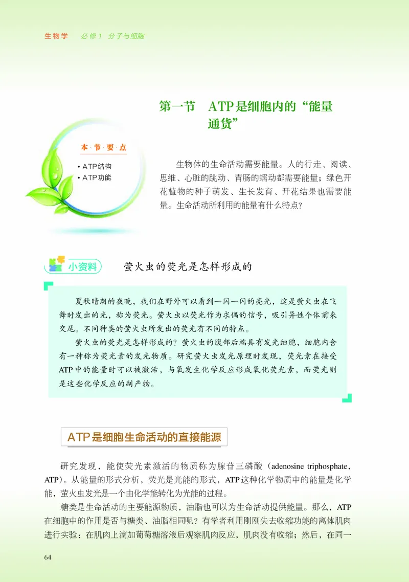 浙科版生物必修1高清教材_4-教培资料-26年最新资料-同步更新_初中高中教资_03科三专项（进去保存报考的学科即可）_02科三专项（笔记真题思维导图教学设计版本二）