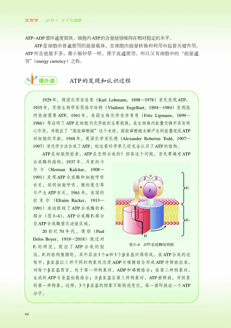 浙科版生物必修1高清教材_4-教培资料-26年最新资料-同步更新_初中高中教资_03科三专项（进去保存报考的学科即可）_02科三专项（笔记真题思维导图教学设计版本二）