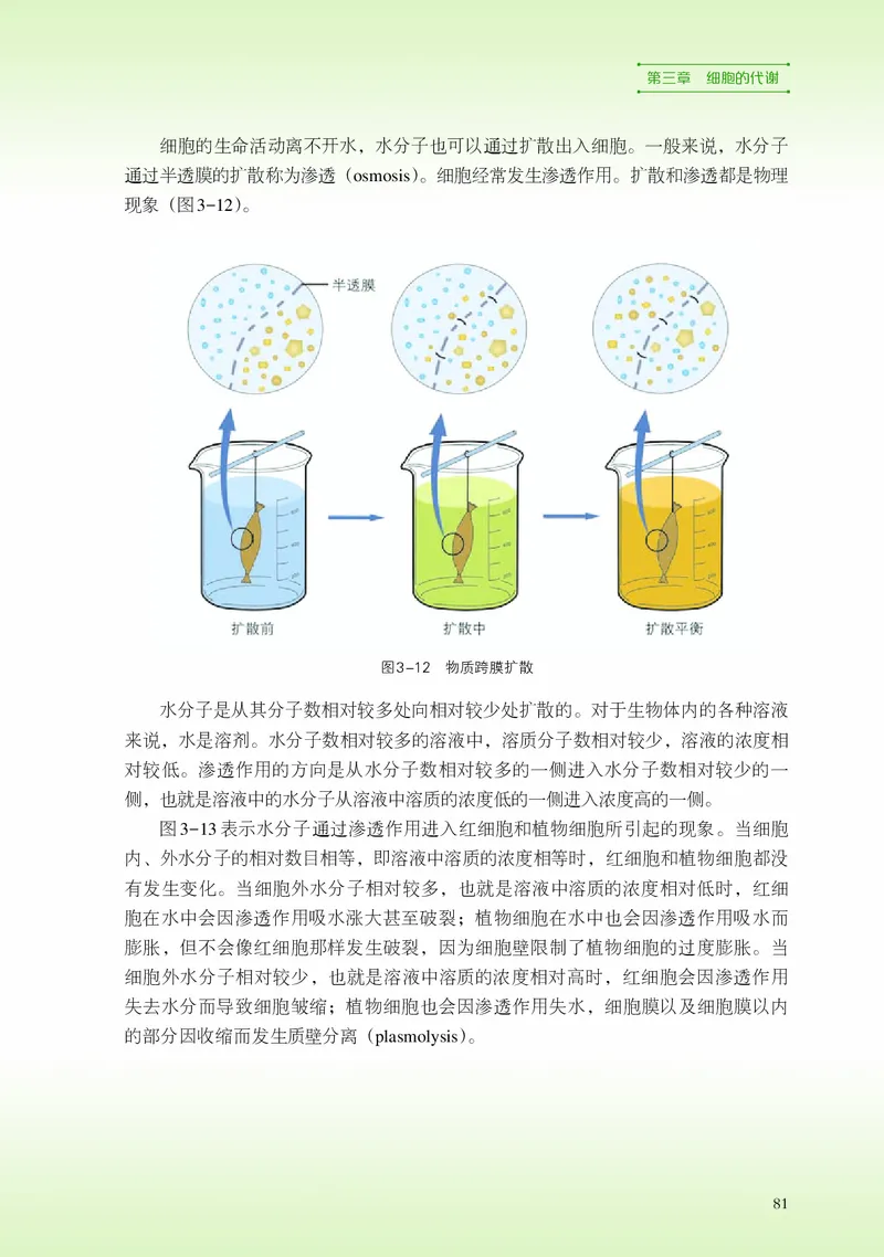 浙科版生物必修1高清教材_4-教培资料-26年最新资料-同步更新_初中高中教资_03科三专项（进去保存报考的学科即可）_02科三专项（笔记真题思维导图教学设计版本二）