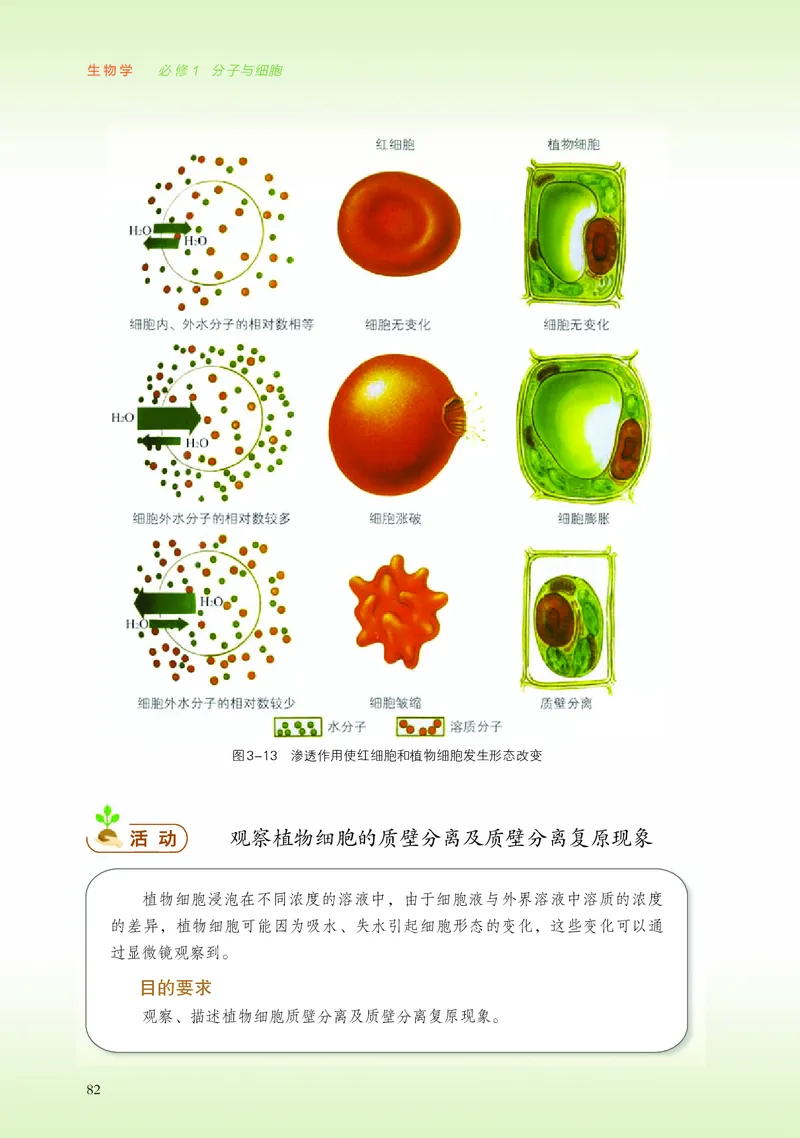 浙科版生物必修1高清教材_4-教培资料-26年最新资料-同步更新_初中高中教资_03科三专项（进去保存报考的学科即可）_02科三专项（笔记真题思维导图教学设计版本二）