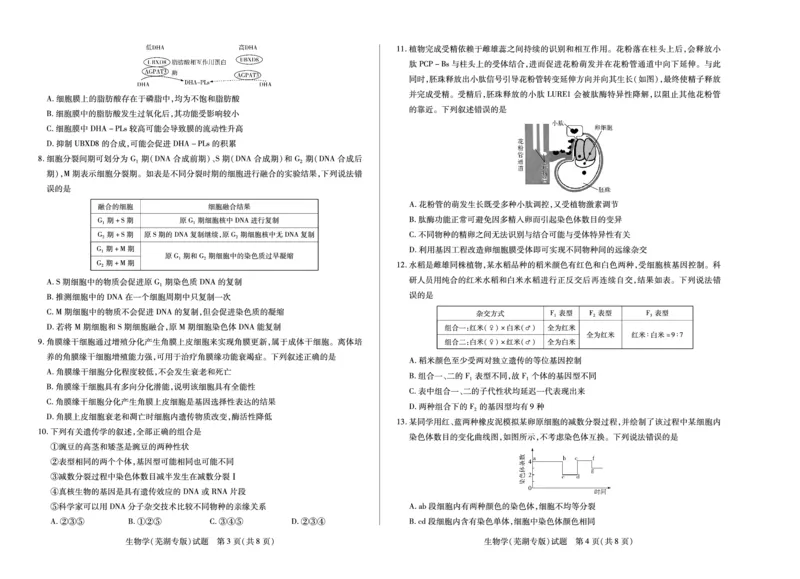 生物(芜湖专版)天一大联考&middot;安徽省高三上学期11月期中联考_251115天一大联考&middot;安徽省高三上学期11月期中联考（全科）