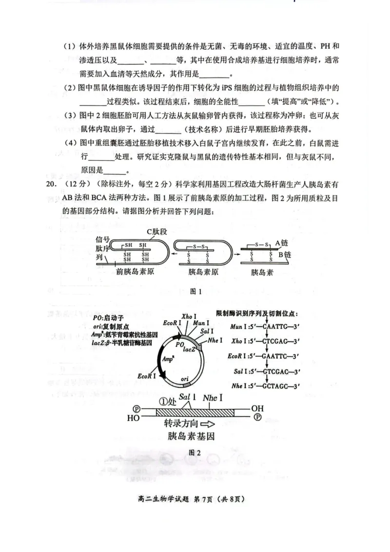 四川省广元市2024-2025学年高二下学期期末考试高二生物试题_2025年7月_250720四川省广元市2024-2025学年高二下学期期末教学质量监测