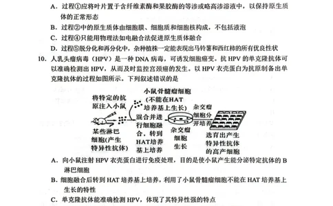 四川省广元市2024-2025学年高二下学期期末考试高二生物试题_2025年7月_250720四川省广元市2024-2025学年高二下学期期末教学质量监测
