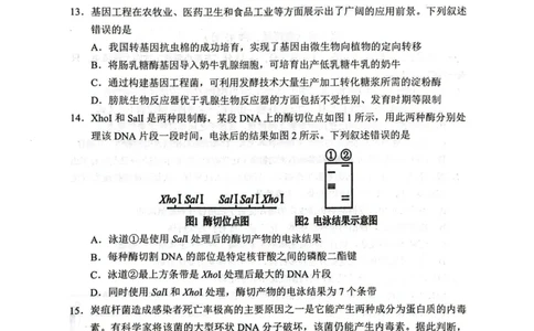 四川省广元市2024-2025学年高二下学期期末考试高二生物试题_2025年7月_250720四川省广元市2024-2025学年高二下学期期末教学质量监测