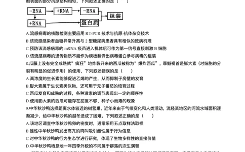 江苏南通市如皋市2026届高三上学期教学质量调研（二）生物试题+答案_2025年12月_251218江苏南通市如皋市2026届高三上学期教学质量调研（二）（全科）
