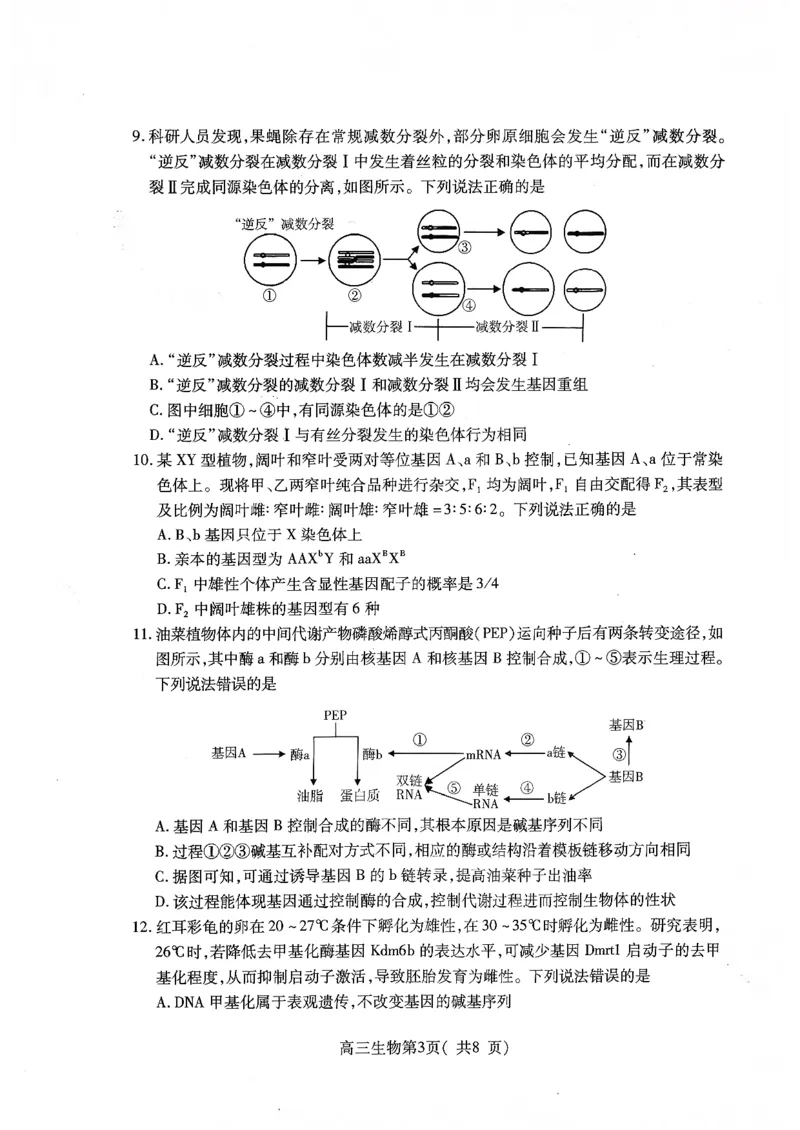 2025&mdash;2026学年度第一学期期中学业水平诊断生物_251113山东省烟台市2025&mdash;2026学年度第一学期期中学业水平诊断（全科）