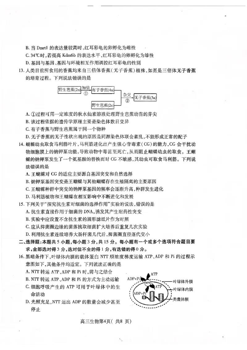 2025&mdash;2026学年度第一学期期中学业水平诊断生物_251113山东省烟台市2025&mdash;2026学年度第一学期期中学业水平诊断（全科）