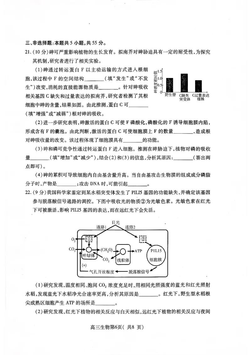2025&mdash;2026学年度第一学期期中学业水平诊断生物_251113山东省烟台市2025&mdash;2026学年度第一学期期中学业水平诊断（全科）