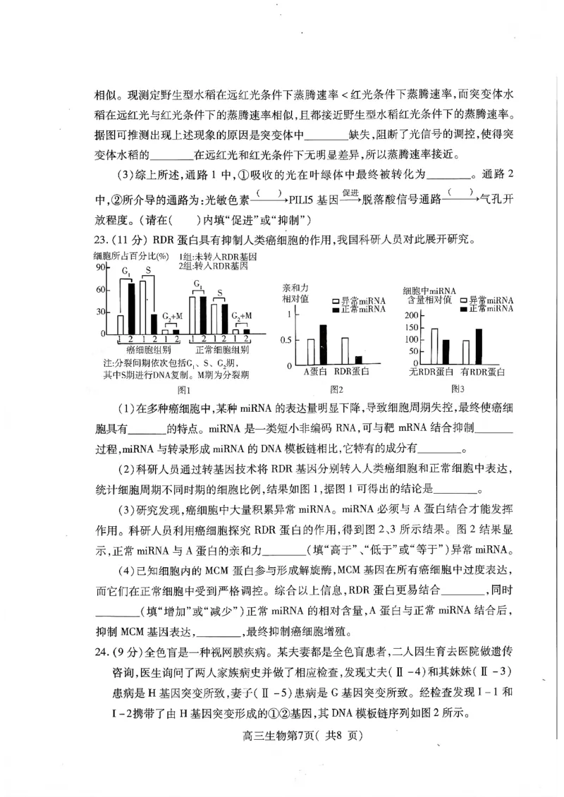 2025&mdash;2026学年度第一学期期中学业水平诊断生物_251113山东省烟台市2025&mdash;2026学年度第一学期期中学业水平诊断（全科）