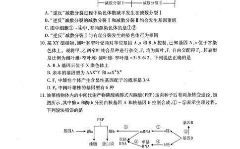 2025&mdash;2026学年度第一学期期中学业水平诊断生物_251113山东省烟台市2025&mdash;2026学年度第一学期期中学业水平诊断（全科）