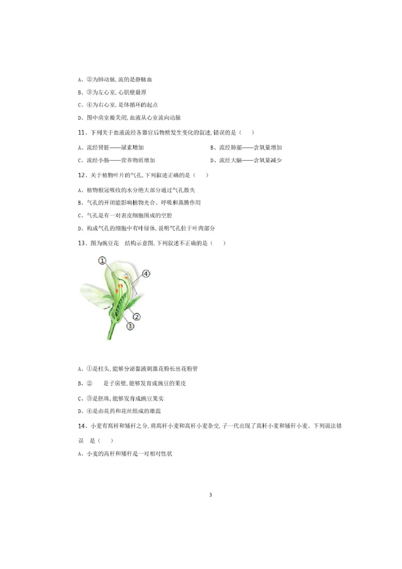 精品解析-江西省2020年中考生物试题(原卷版)_中考真题_8.生物中考真题2015-2024年_2020生物真题74份_2020年中考真题精品解析生物（江西卷）精编word版