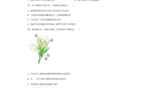 精品解析-江西省2020年中考生物试题(原卷版)_中考真题_8.生物中考真题2015-2024年_2020生物真题74份_2020年中考真题精品解析生物（江西卷）精编word版